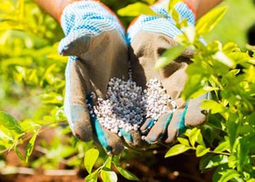 کود مس و روش های استفاده از آن