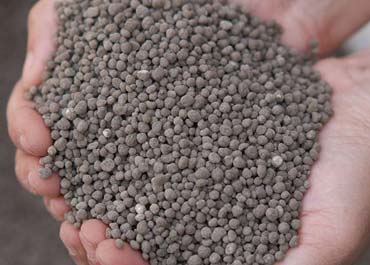 هر آنچه باید درباره کود فسفات تریپل بدانید