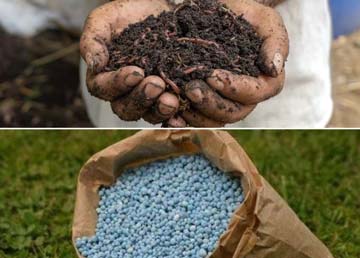 کمپوست و کود چه تفاوتی دارند؟