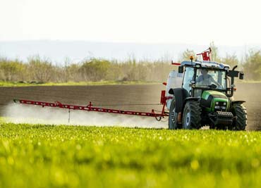 عوارض کود دهی بیش از حد