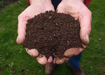 کمپوست چیست و چه مزایایی دارد؟