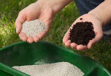 کود شیمیایی و آلی چه تفاوتی دارند؟