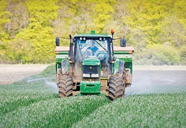 کودهای مورد استفاده برای گندم