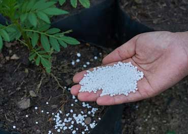 کود کلسیم چیست و چه کاربردی دارد؟