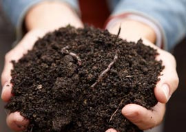 تهیه کمپوست در خانه