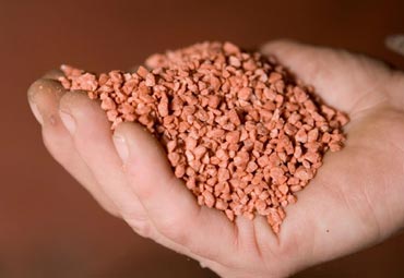 کود پتاسیم چیست و زمان و نحوه مصرف آن به چه صورت است؟