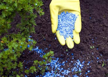 انواع کود روی و مزایای آنها