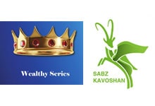 ولسی سبزکاوشان