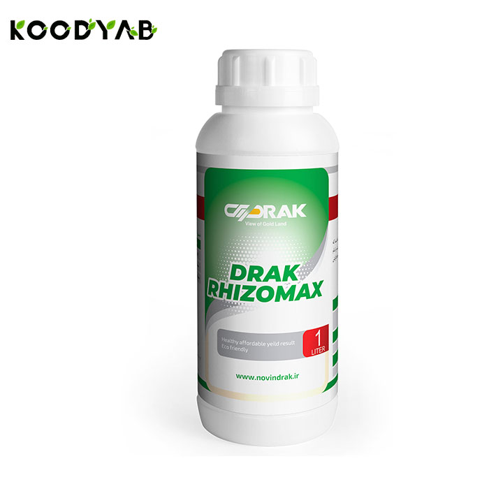 کود رایزومکس نوین دراک