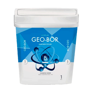 کود بر اریکه