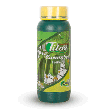 کود خیار تیلوکس