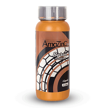 کود آمازینگ بر  تیلوکس