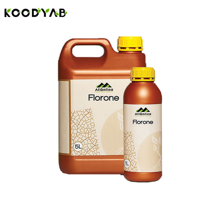 کود فلورون آتلانتیکا