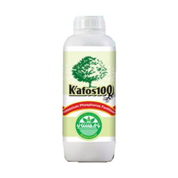 کود کافوس 100 بارافشان