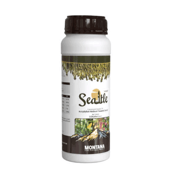 کود سیاتل مونتانا