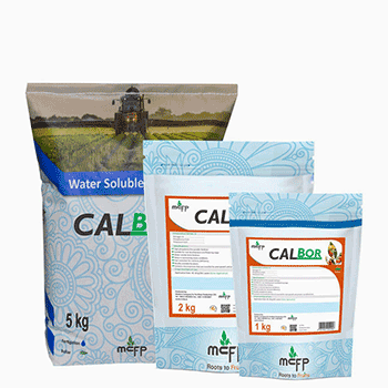 کود کلبر ام سی اف پی