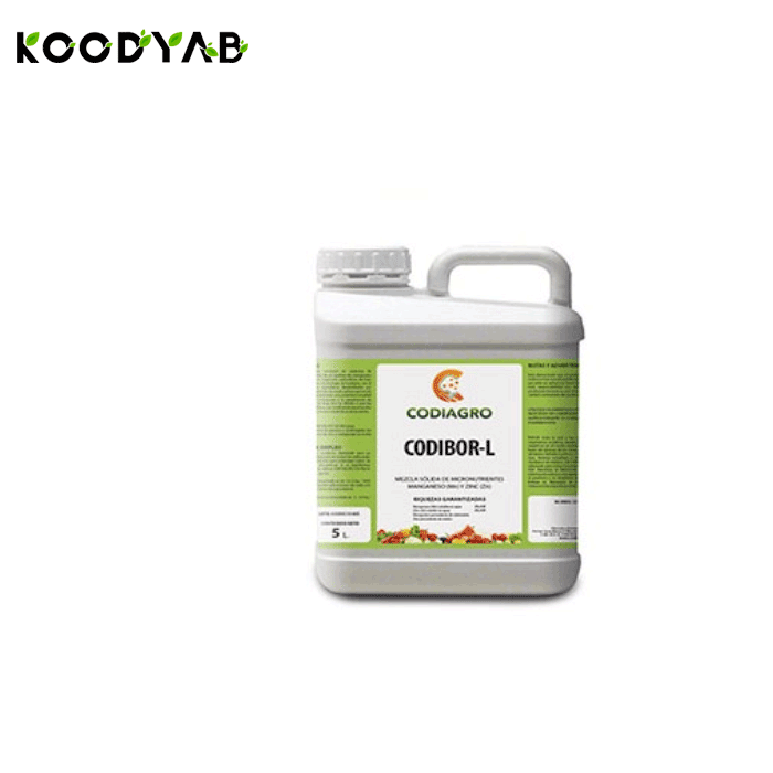 کود کدی بر ال کودیاگرو