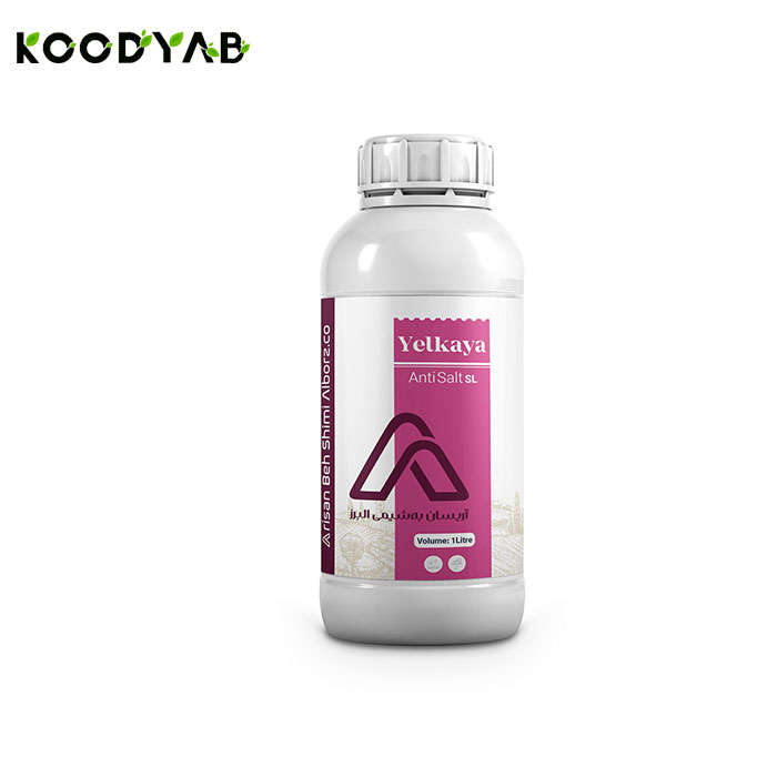 کود آنتی سالت یلکایا