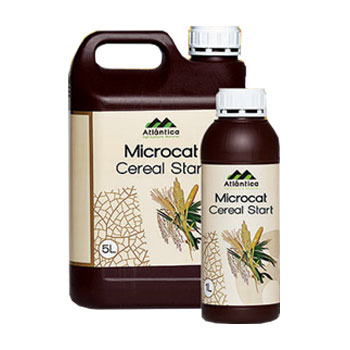 کود میکروکت سرال استارت آتلانتیکا