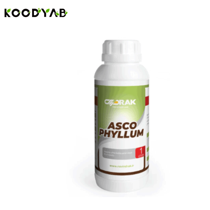 کود آسکــو فیلــوم دراک