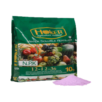 کود 36 12 12 هوکر