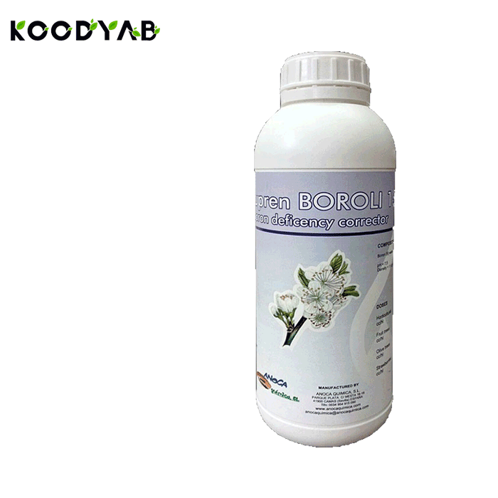 کود برولی انوکا