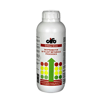 کود سیفالگا گرو سیفو