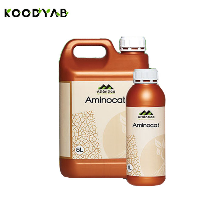 کود آمینوکت آتلانتیکا