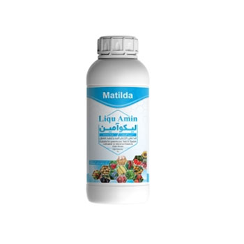 کود لیکو آمین ماتیلدا 