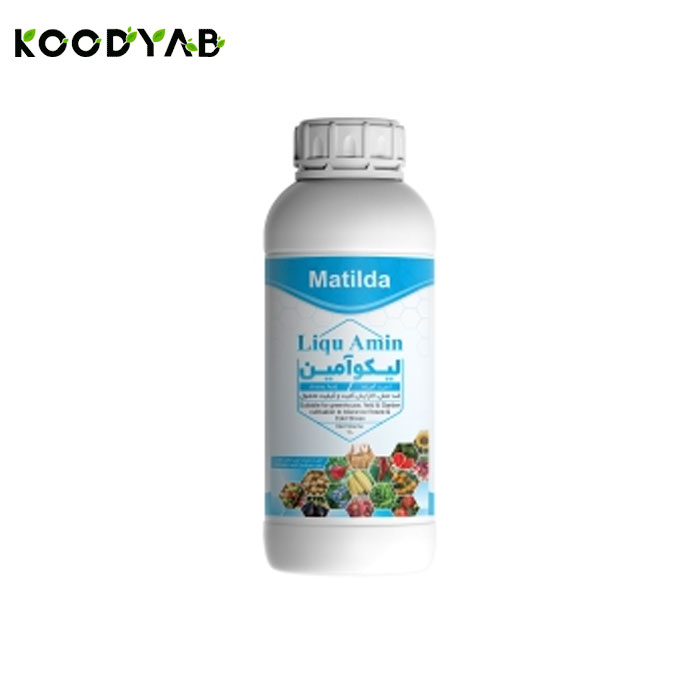 کود لیکو آمین ماتیلدا 