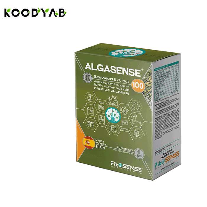 کود جلبک دریایی فیتوسنس