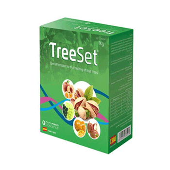 کود تری ست فیوچرکو