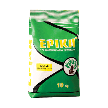 کود کامگ اپیکا