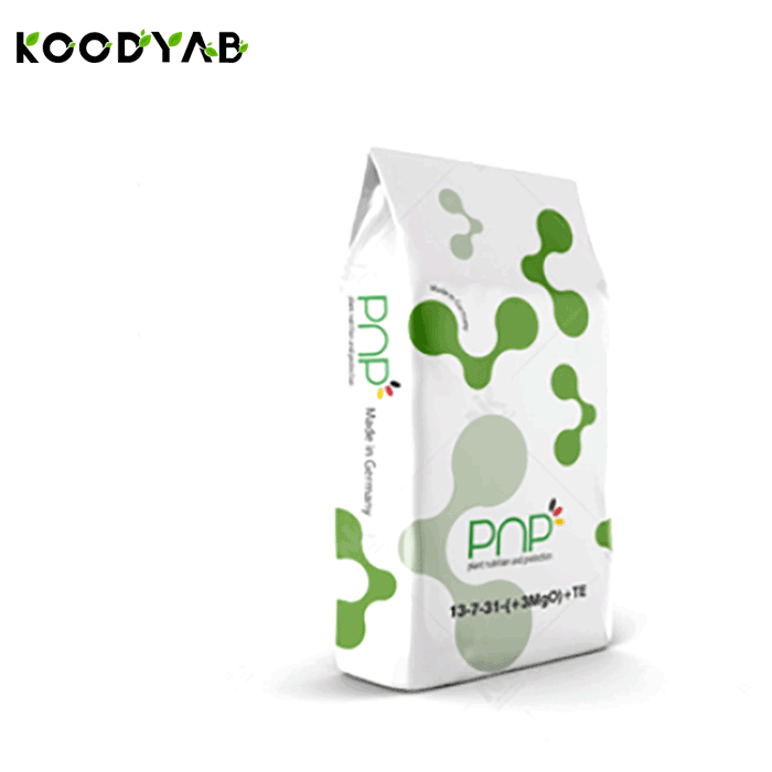  کود 31 7 13  پی ان پی