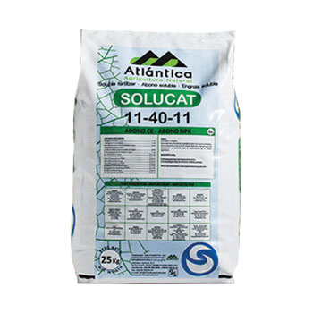 کود سولوکت 11 40 11 آتلانتیکا