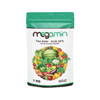 کود مگامین مگاکراپ