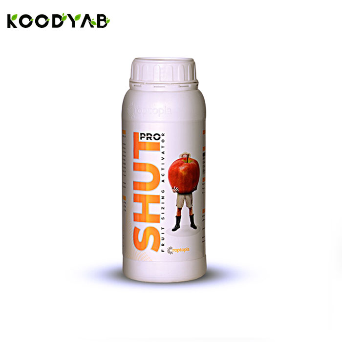 کود پروشات راپتوپیا