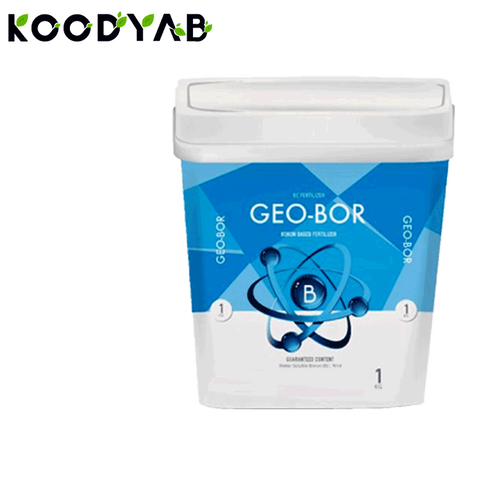 کود بر اریکه