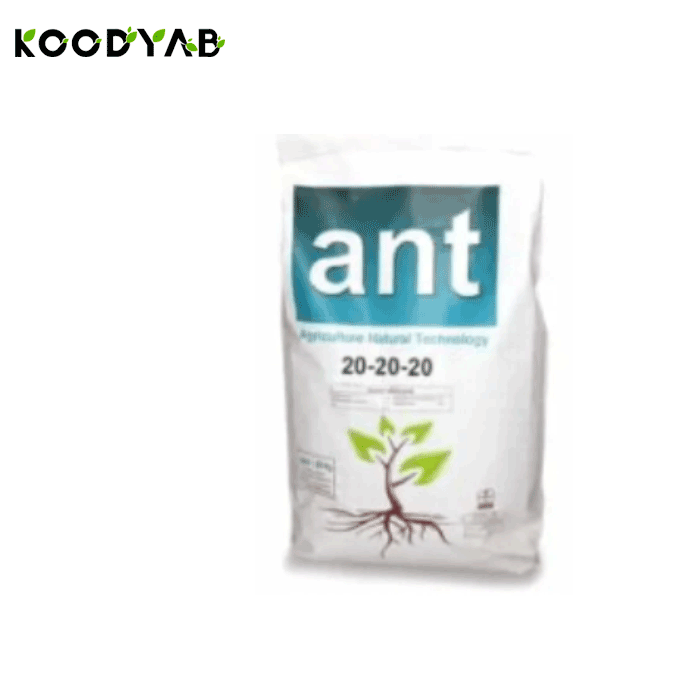 کود 20 20 20 ای ان تی