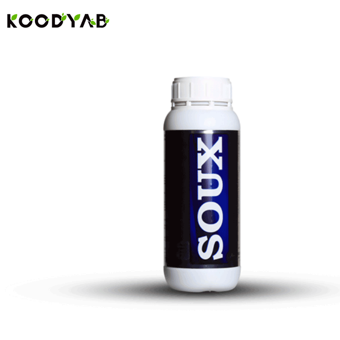 کود سئوکس میثاق