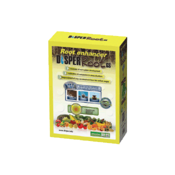 کود روت جی اس دیسپر