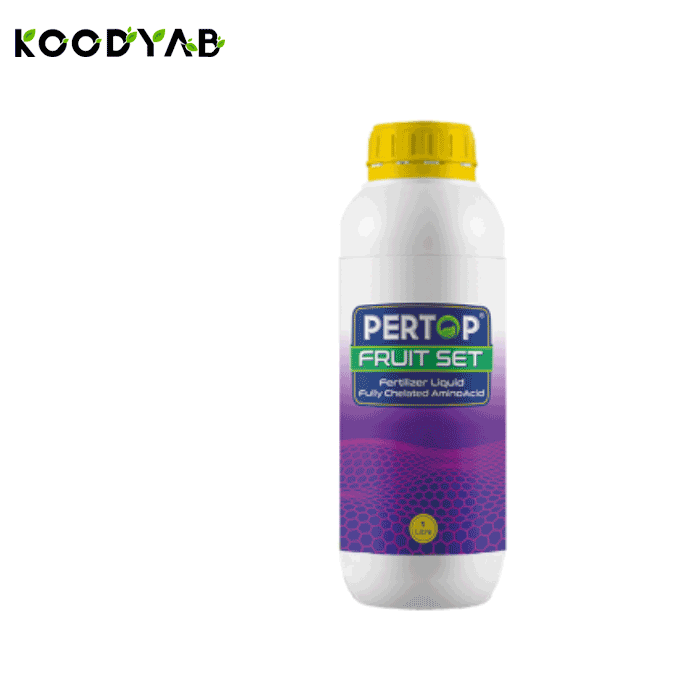 کود فروت ست پرتاپ