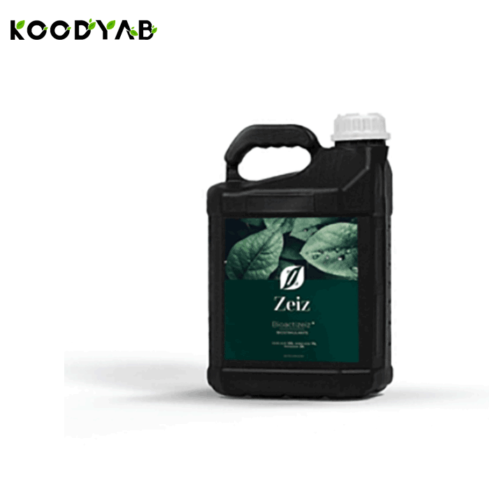 کود بایواکتی زایز