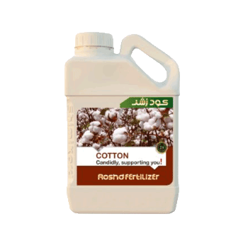 کود پنبه رشد