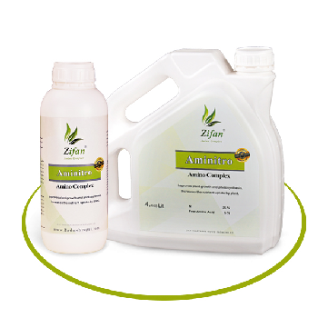 کود آمی نیترو زیفان