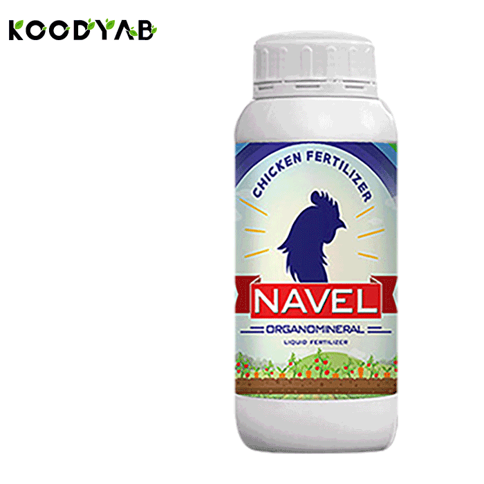 کود ناول دان نهال