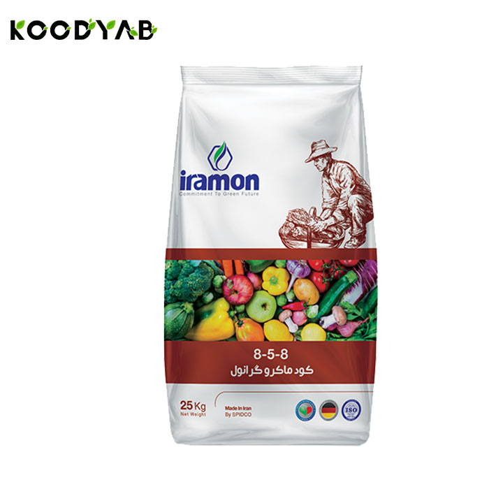 کود 8 5 8 ایرامون