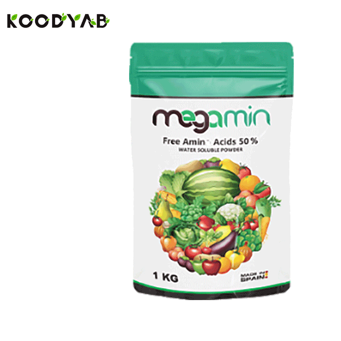 کود مگامین مگاکراپ