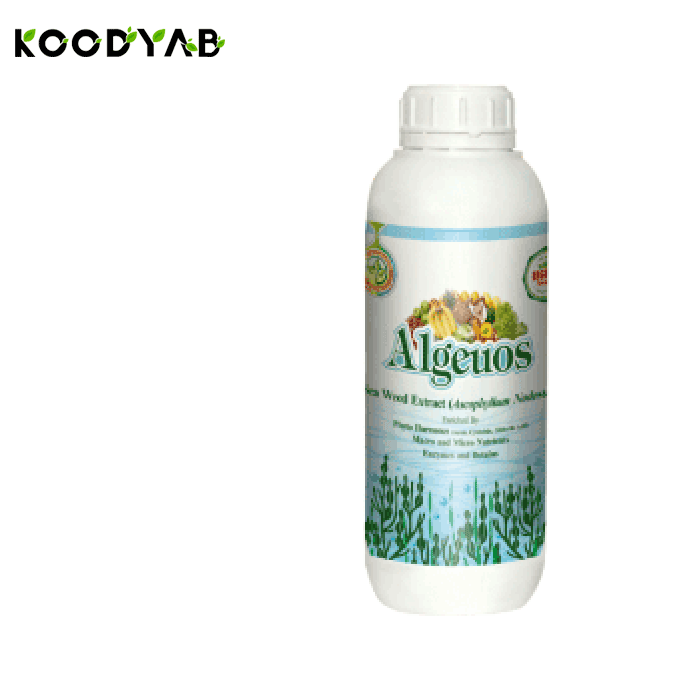 کود آلجیوس رایحه دشت سبز ایرانیان