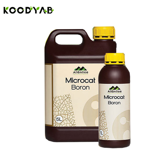 کود میکروکت بر آتلانتیکا